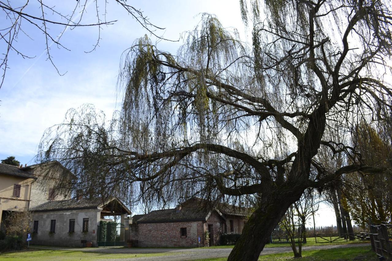 Agriturismo Fiamberta Bed & Breakfast Certosa di Pavia Ngoại thất bức ảnh